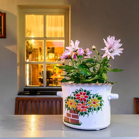 Maxmillian & Restaurant Guest house Marenice